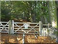 SX7878 : Gate into Yarner Wood by Derek Harper