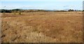 NS4784 : Rough grazing near Cameron Muir by Lairich Rig