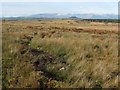 NS4783 : Old field boundary by Lairich Rig