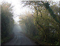 ST9979 : 2010 : Lane from Bradenstoke in the mist by Maurice Pullin