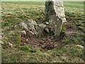 NS3678 : Walton Farm chambered cairn by Lairich Rig