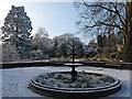 ST3087 : Hoar frost in Belle Vue Park [6] by Robin Drayton