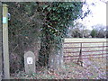 TM3371 : Footpath to Low Grange Farm by Geographer