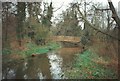 TQ5263 : River Darent at Lullingstone Park by Roger Smith