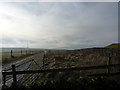 SK0880 : Transmitter mast near Sparrowpit by Peter Barr