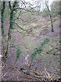 SJ8861 : Small clough near Mossley Hall by Stephen Craven