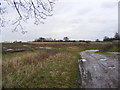 TM3666 : Farmland at Kelsale Hall Farm by Geographer