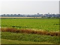  : Town Marshes, Orford by John Brightley