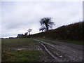 TM3774 : Field entrance off Walpole Lane by Geographer