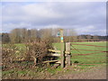 TM3669 : Footpath to Wood Farm by Geographer