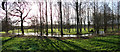 TM3562 : Panoramic view of the River Alde at Benhall by Adrian S Pye