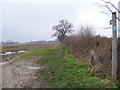 TM3864 : Footpath to Curlew Green by Geographer