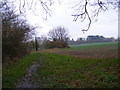 TM3865 : Footpath to Dorley's Corner by Geographer