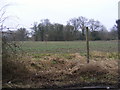 TM3763 : Footpath to Grove Farm & B1119 Rendham Road by Geographer