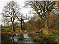 TQ4416 : Pond, Barn Mead by Simon Carey