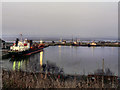 SJ3680 : The Queen Elizabeth II Dock, Manchester Ship Canal by David Dixon