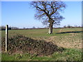 TM3971 : Footpath to South Manor Farm by Geographer