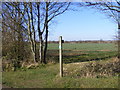 TM3971 : Footpath to Bunkers Hill Farm by Geographer