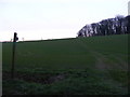 TM3762 : Footpath to the A12 Saxmundham Bypass by Geographer