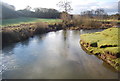 SO4372 : River Teme upstream from Burrington Bridge by N Chadwick