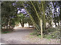 TM3760 : Footpath & entrance to Monks Valley House by Geographer