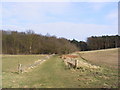 TM3759 : Footpath to Racewalk Covert & Gromford by Geographer