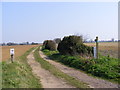 TM3959 : Sloe Lane Restricted Byway by Geographer