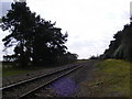 TM3759 : Railway Line to Wickham Market Railway Station by Geographer