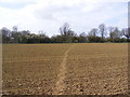 TM3660 : Footpath to Hill Farm Road by Geographer