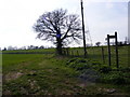 TM3560 : Footpath to Botany Lane by Geographer