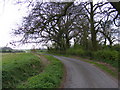 TM3167 : Old Rectory Road, Badingham by Geographer