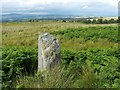 NS4582 : Standing stone on Gallangad Muir by Lairich Rig