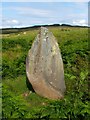 NS4582 : Standing stone on Gallangad Muir by Lairich Rig