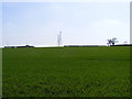 TM2654 : Footpath to The Street,Bredfield by Geographer