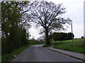 TM3978 : Bungay Road, Holton by Geographer