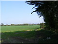 TM3264 : Footpath to the B1119 Saxmundham Road by Geographer