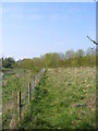 TM3263 : Footpath to the B1119 Saxmundham Road by Geographer