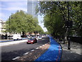 TQ3078 : Barclays Cycle Superhighway, Millbank by PAUL FARMER