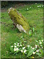 SK8753 : Gravestone, All Saints Church by Maigheach-gheal