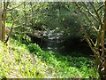 NS7872 : Luggie Water, small waterfall by Robert Murray