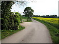 SJ8670 : Henshaw Hall Farm entrance drive by Peter Turner