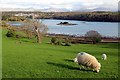 SH5471 : Farmland, Anglesey by Christine Matthews