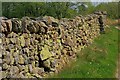 NY3425 : Drystone Wall Near Guardhouse by Mick Garratt