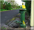 C0136 : Old water pump, Dunfanaghy by Rossographer