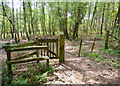 SU3100 : Kissing Gate in Roydon Woods by Mike Smith