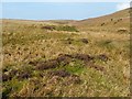 NS4278 : Mounds beside the Spouts Burn by Lairich Rig