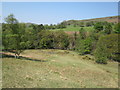 SJ9766 : Cliffs at River Dane by Peter Turner