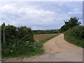 TM2955 : Footpath to Grove Farm & Grove Road by Geographer