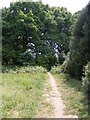 TM2446 : Footpath to the A12 Martlesham Bypass over Martlesham Heath by Geographer