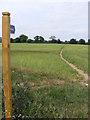 TM2646 : Footpath to Waldringfield Road (set of 2 images) by Geographer